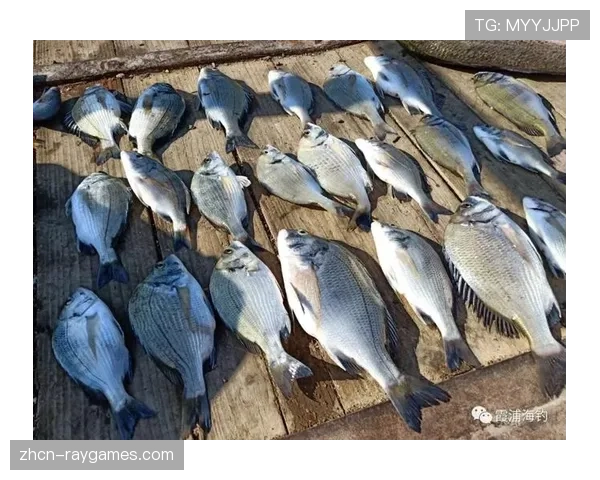 霞浦海钓赛签署“中国澳门回归杯”举办权合作协议，搭建长效平台